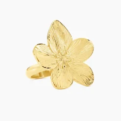 Histoire d'Or Bague Barbade Acier Jaune* Bagues|Bagues Sans Pierre