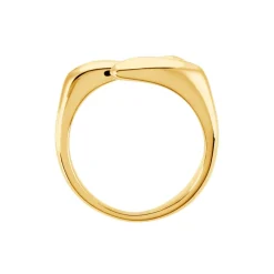 Histoire d'Or Bague Gold Aura Acier Jaune* Bagues|Bagues Sans Pierre