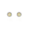 Best Histoire d'Or Boucles D'oreilles Puces Charletta Or Jaune Diamant