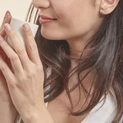 Histoire d'Or Boucles D'oreilles Puces Evaelle Papillon Or Jaune Oxyde De Zirconium* Boucles D'Oreilles|Clous D'Oreilles