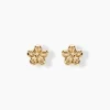 Histoire d'Or Boucles D'oreilles Puces Kukka Or Jaune* Boucles D'Oreilles|Clous D'Oreilles
