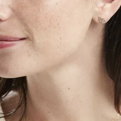 Histoire d'Or Boucles D'oreilles Puces Or Jaune Albizia Oxydes De Zirconium* Boucles D'Oreilles|Clous D'Oreilles