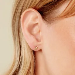 Histoire d'Or Boucles D'Oreilles Puces Varlam Or Jaune