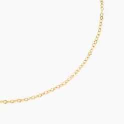 Histoire d'Or Chaine Or Jaune Pilea* Colliers|Colliers