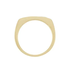 New Histoire d'Or Chevaliere Plaqué Or Gregh Email