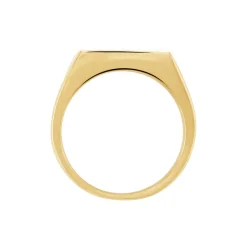 Online Histoire d'Or Chevalière Luciano acier doré