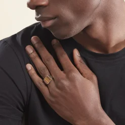 Histoire d'Or Chevalière Argent Blanc Atilio Oeil De Tigre* Bagues|Chevalières