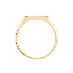 Hot Histoire d'Or Chevalière Lionel Plaqué Or Jaune