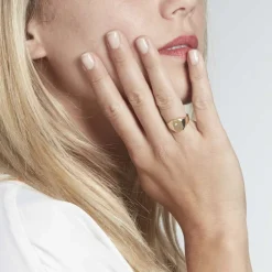 Best Histoire d'Or Chevalière Malcolm Carree Or Jaune Oxyde De Zirconium