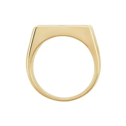 Histoire d'Or Chevalière Plaqué Hadrien Onyx* Bagues|Chevalières