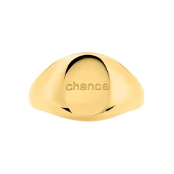 Histoire d'Or Chevalière Sabadell Acier Jaune