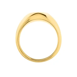 Histoire d'Or Chevalière Sabadell Acier Jaune