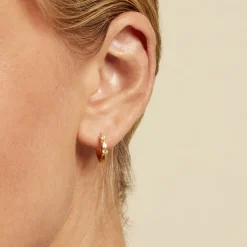 Histoire d'Or Créoles Gianna Plaqué Or Jaune Oxyde De Zirconium plaqué or dore oxyde raisin