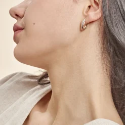 Histoire d'Or Créoles Hermande Or Tricolore