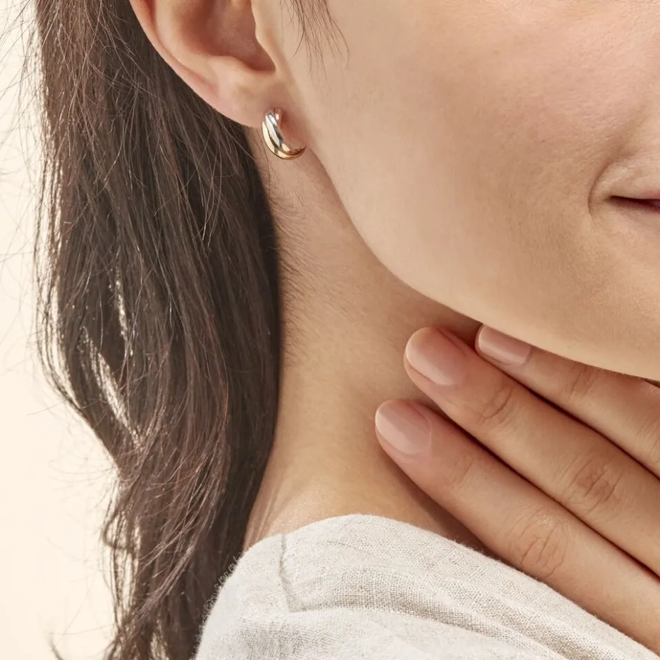 Online Histoire d'Or Créoles Igora Or Tricolore