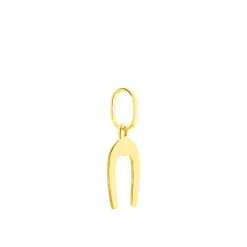 Online Histoire d'Or Pendentif Egide Fer A Cheval Or Jaune