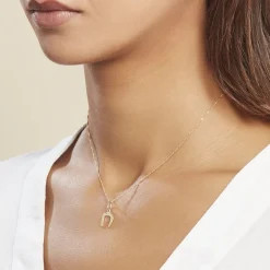 Online Histoire d'Or Pendentif Egide Fer A Cheval Or Jaune