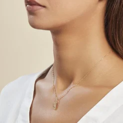 Histoire d'Or Pendentif Illide Hippocampe Or Jaune* Pendentifs|Pendentifs