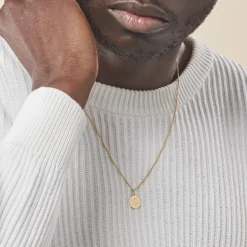 Outlet Histoire d'Or Pendentif Lamie Zodiaque Or Jaune